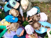 4904a2f5-f6f8-44c0-aaa4-fe72602c4070