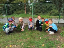 f6021994-897b-43c1-bff7-6a4918aa3534