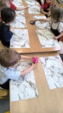 IMG_20260316_115545