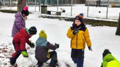 IMG-20260218-WA0001