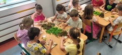 IMG20260623092602